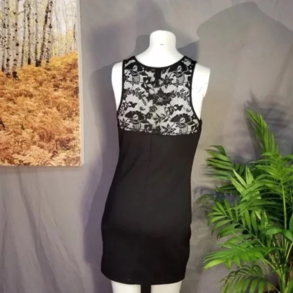 3/$25 Forever 21 Lace Sweetheart Top Dress - Picture 6 of 8